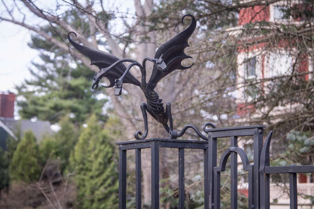 Additional Photo