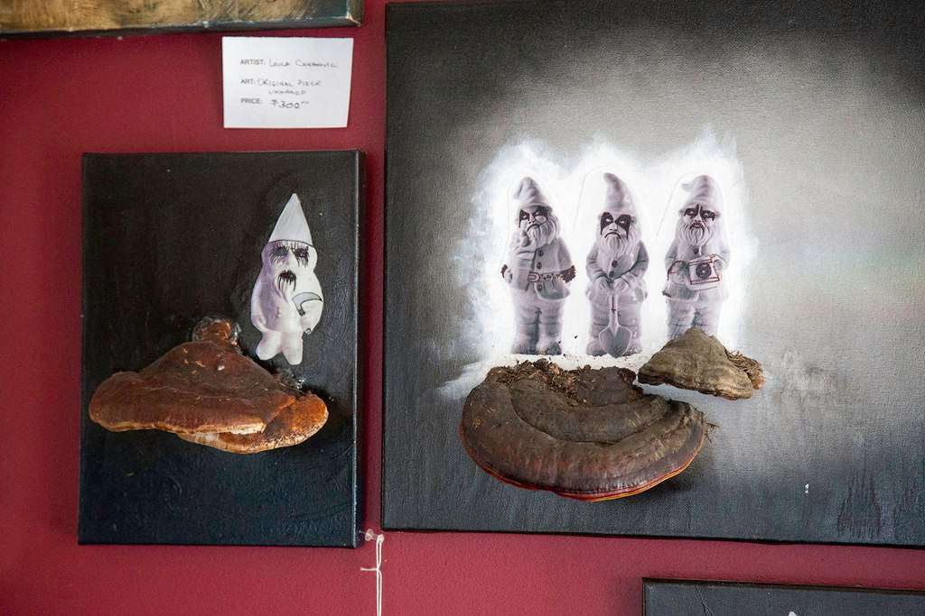 Additional Photo